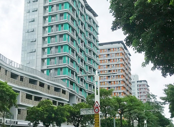 各縣市政府積極推動的公宅建設已漸成形，健康青年住宅開創了環境色彩美學及與環境對話的多元機制。