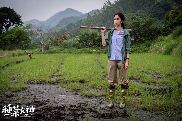 陳庭妮認為土地有溫度，同時能讓人感到心情平靜。