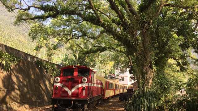 阿里山森林火車是日治時期至今唯一仍在營運的林業鐵路系統。