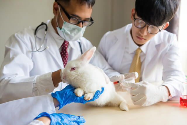 動物實驗中，減少動物的痛苦與提升動物福利相當重要。