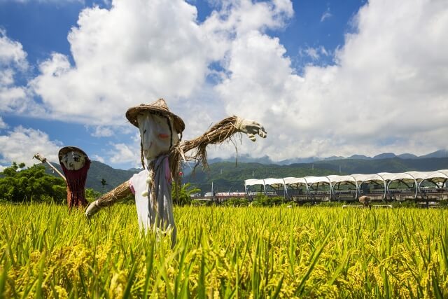 因應少子化，未來大專院校可能會轉型為在地民眾的終生學習與長者照顧的場域。