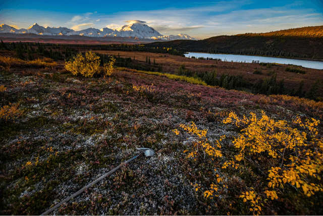 美國迪納利國家公園（Denali National Park）內的奇蹟湖（Wonder Lake）。