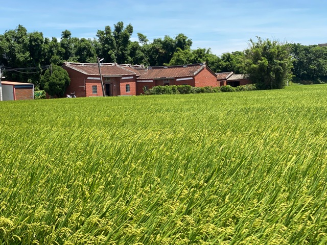 疫情期間，大家轉往國內旅行，陸續可以看到不同以往的旅遊趨勢，也不失為一個重新感受台灣的機會。