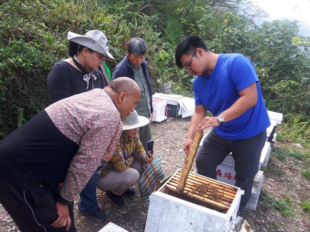 源森團隊指導霧台鄉部落族人學習森林養蜂技巧。
