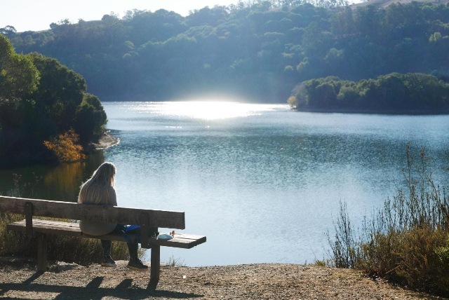 那天去到的Lake Chabot 位於加州的Alameda County，是個美麗的湖泊。
