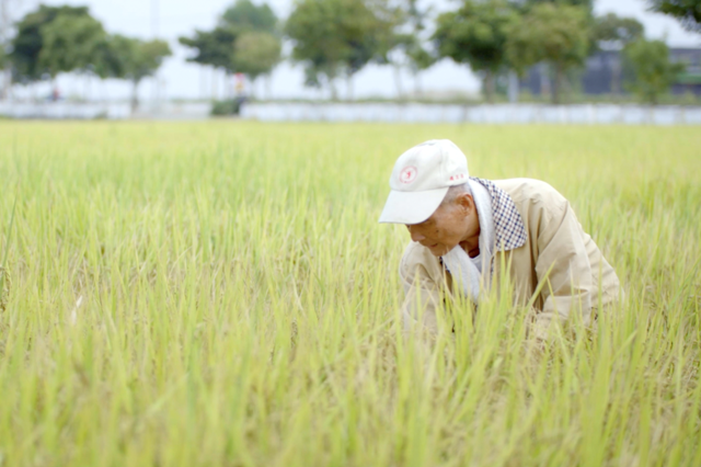 踏上田地的崑濱伯，用他的理解持續關懷台灣這片土地。