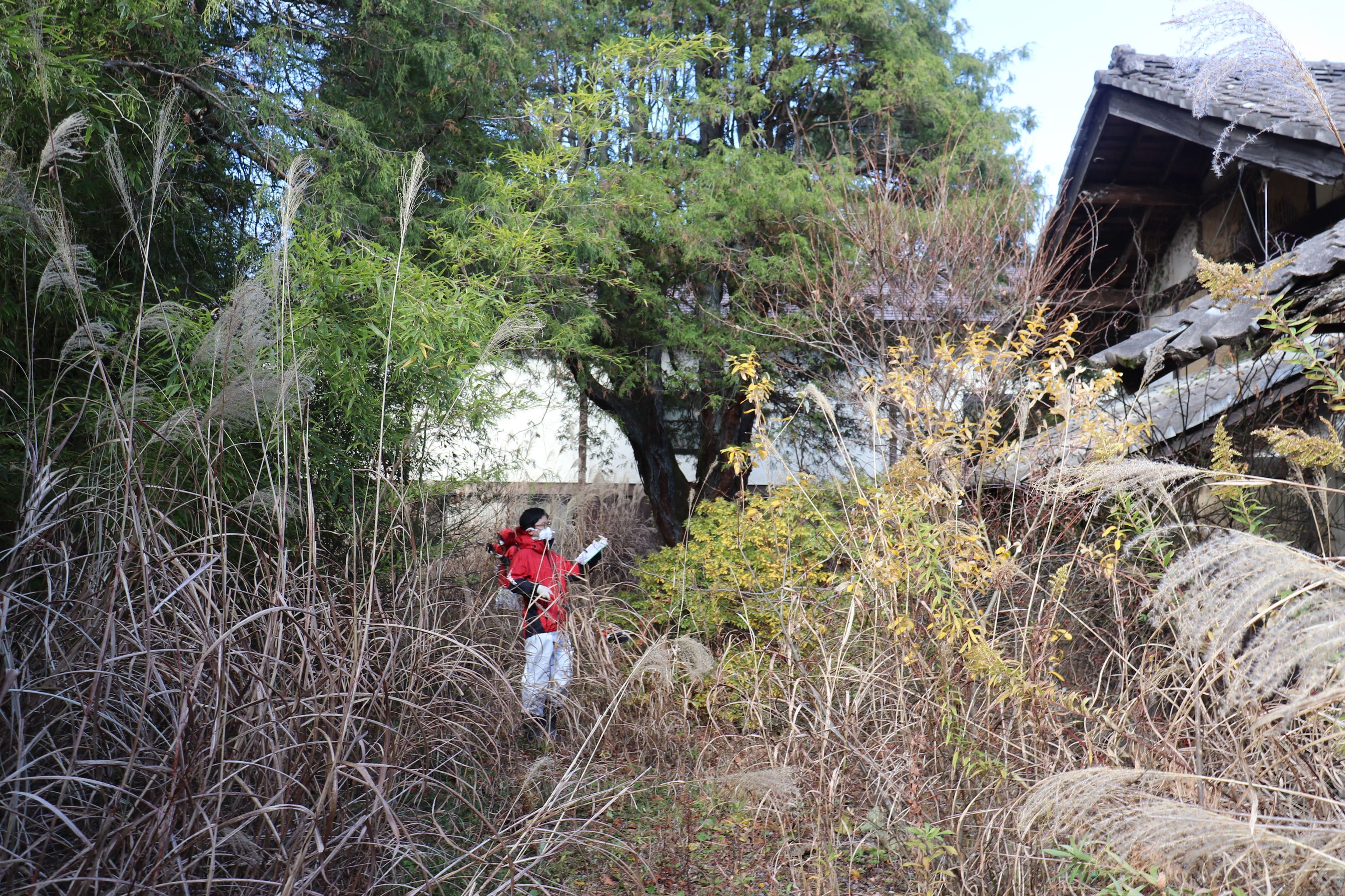 歷經10年，福島某些地區的居民仍然難以回到家園。