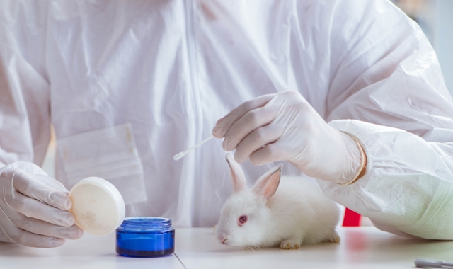 使用動物研究時，是否可以有其他試驗方式替代活體動物？
