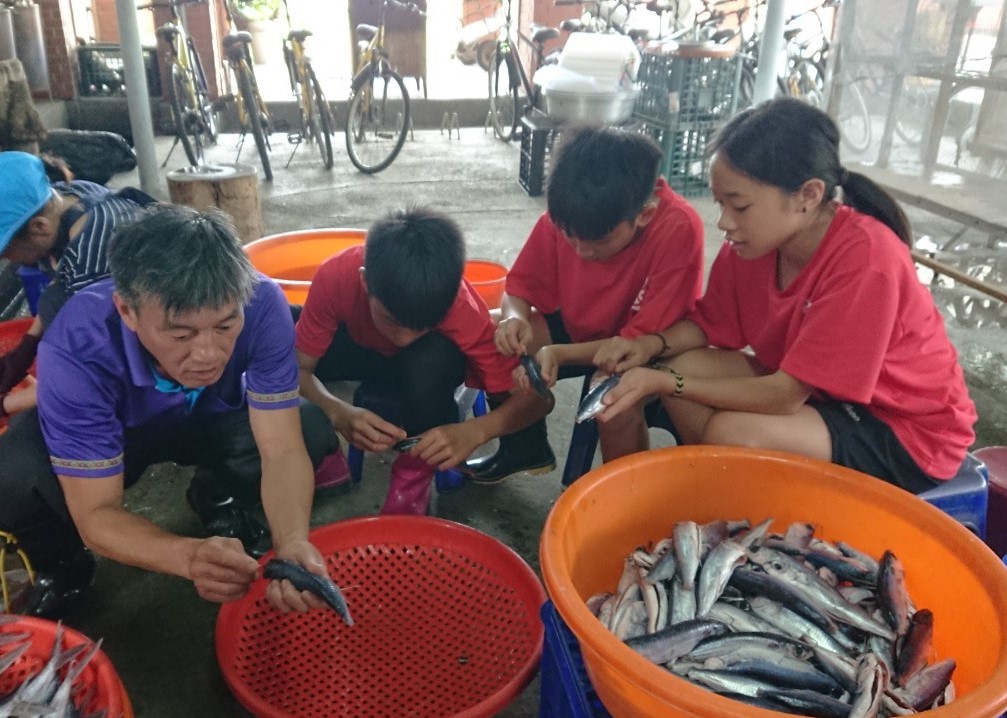 製作飛魚乾是校內高年級學生的課程之一，射箭隊隊員更要從四年級就開始參與。
