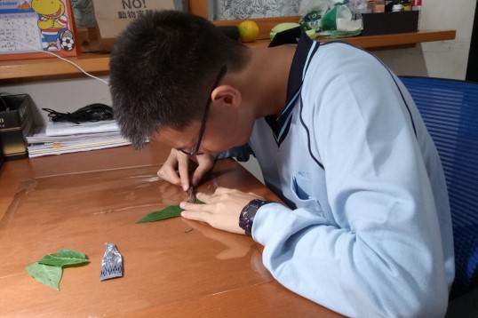 徐唯嘗在學校成績優異，校排名前3%，從小就被診斷出專注力缺陷過動症，還伴隨讀寫障礙和肢體不協調，但因為他和阿嬤的付出與不放棄，造就了現在。