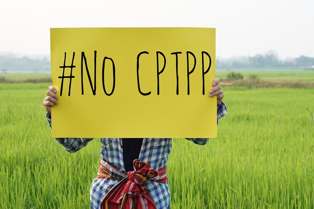 CPTPP中，有關投資爭端解決的規定（ISDS），賦予跨國企業凌駕地主國國家的主權，甚至局部癱瘓地主國獨立行使行政、立法、司法權的權力，而台灣政府卻一個字都未曾向人民提起。