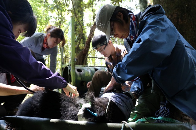 熊類的經營管理涉及生物和人文等複雜議題，相關決策需建構於扎實的科學研究資訊上，並賴長期追蹤監測和滾動式（適應性）經營管理。