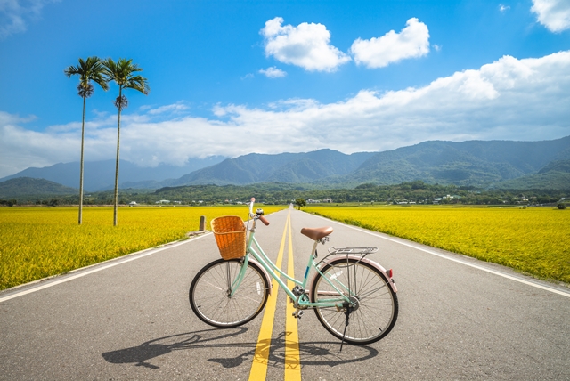 花東縱谷最佳瞭望之地「鹿野高台」，每年夏天舉辦台灣國際熱氣球嘉年華，在一望無際的大草原上，色彩繽紛的熱氣球在藍天冉冉升起。環境與人是最美的風景，透過好的創意，創造新的價值。