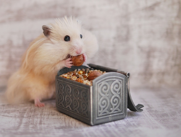 「倉鼠購物」（Hamsterkauf），用來形容「大量囤貨的購物行為」，因為倉鼠兩邊臉頰一直從臼齒延伸到肩部的頰囊構造，有足夠大的空間儲存食物，也有一次搬運大量食物回到洞裡儲藏的習性。