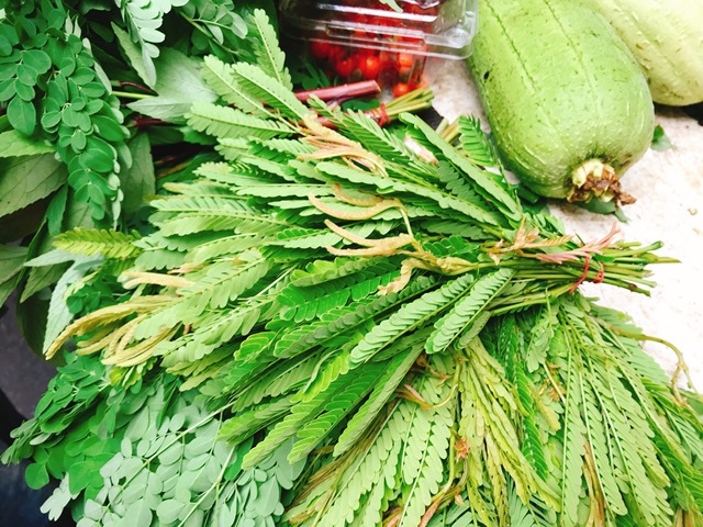 酸子藤究竟是什麼植物？圖為華新街菜攤販售的酸子藤。