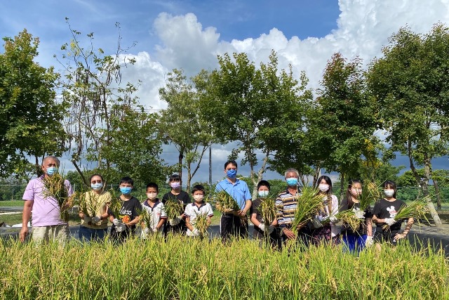 勿忘家鄉種稻的食農文化，官田國小畢業生歡喜收割稻米義賣助學。