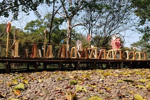 這兩年因工作，秋季時常得拜訪許多家庭、清查福利身份，也再次吹起惆悵風。