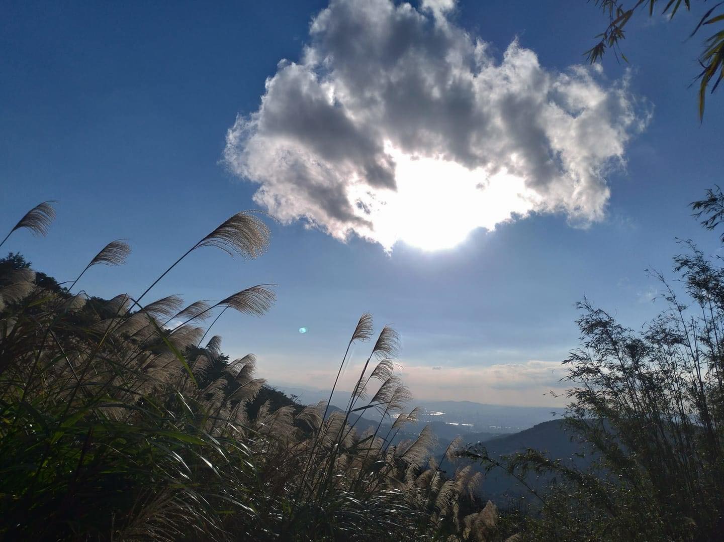 生命的無常就像青空裡有白雲盤據，轉瞬間忽又不在。