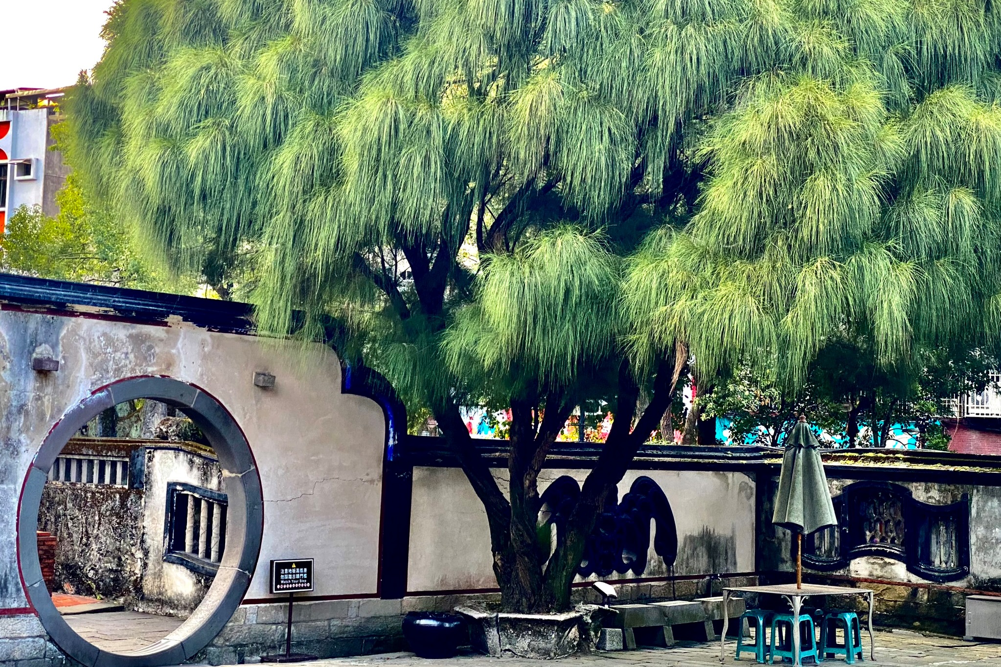 如果來到板橋林家花園，你將會看到：種了與當年時空截然不符的金露花、七里香；到處貼滿警示標語，只為了防止遊客破壞古蹟，卻喧賓奪主破壞了園林空間美感……為何一個國寶級花園，會變成如此？