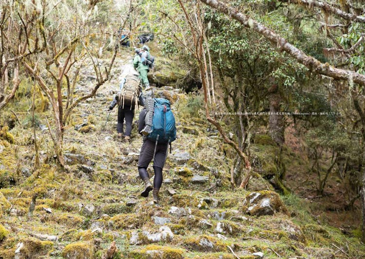 他們跋山涉水走回內本鹿的Taki-vahlas聚落，並在家裡住上十來天，然後再花近一週的時間下山，盡可能以傳統生活方式，重新連結布農族的根。