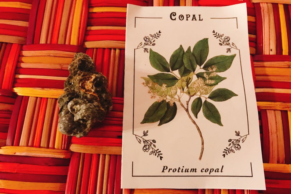2019年到亞馬遜，薩滿文化中植物盟友的儀式是我第一次接觸到柯巴脂。