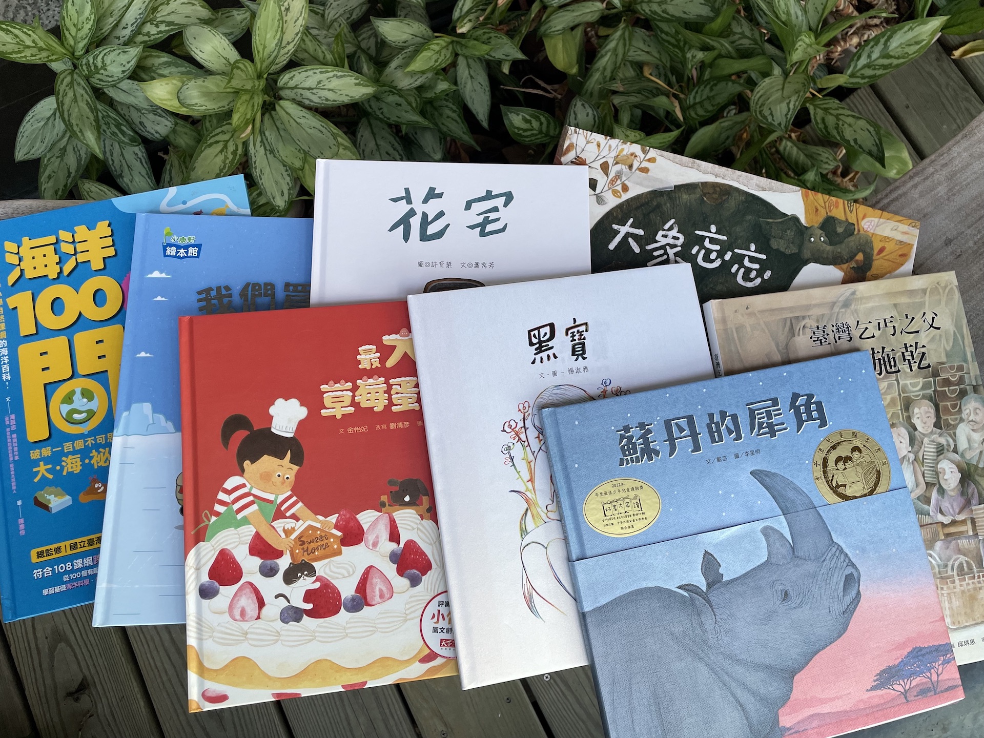 第二期SDGs兒童永續書單增加不少本土書藉，有助於孩子思考在地。