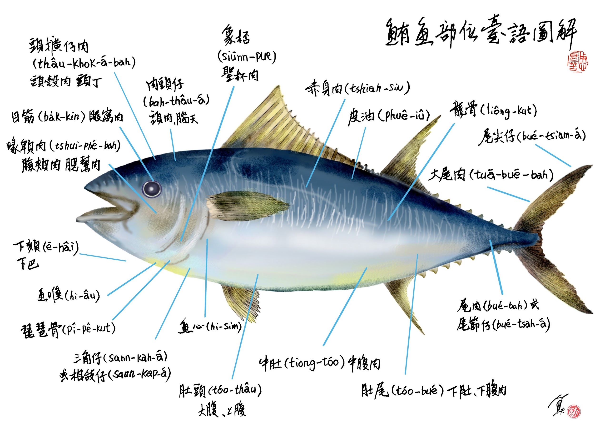 下回來去吃鮪魚，已經足以跟老闆打賭：鮪魚這裡台語怎麼說，那裡台語怎麼唸了！