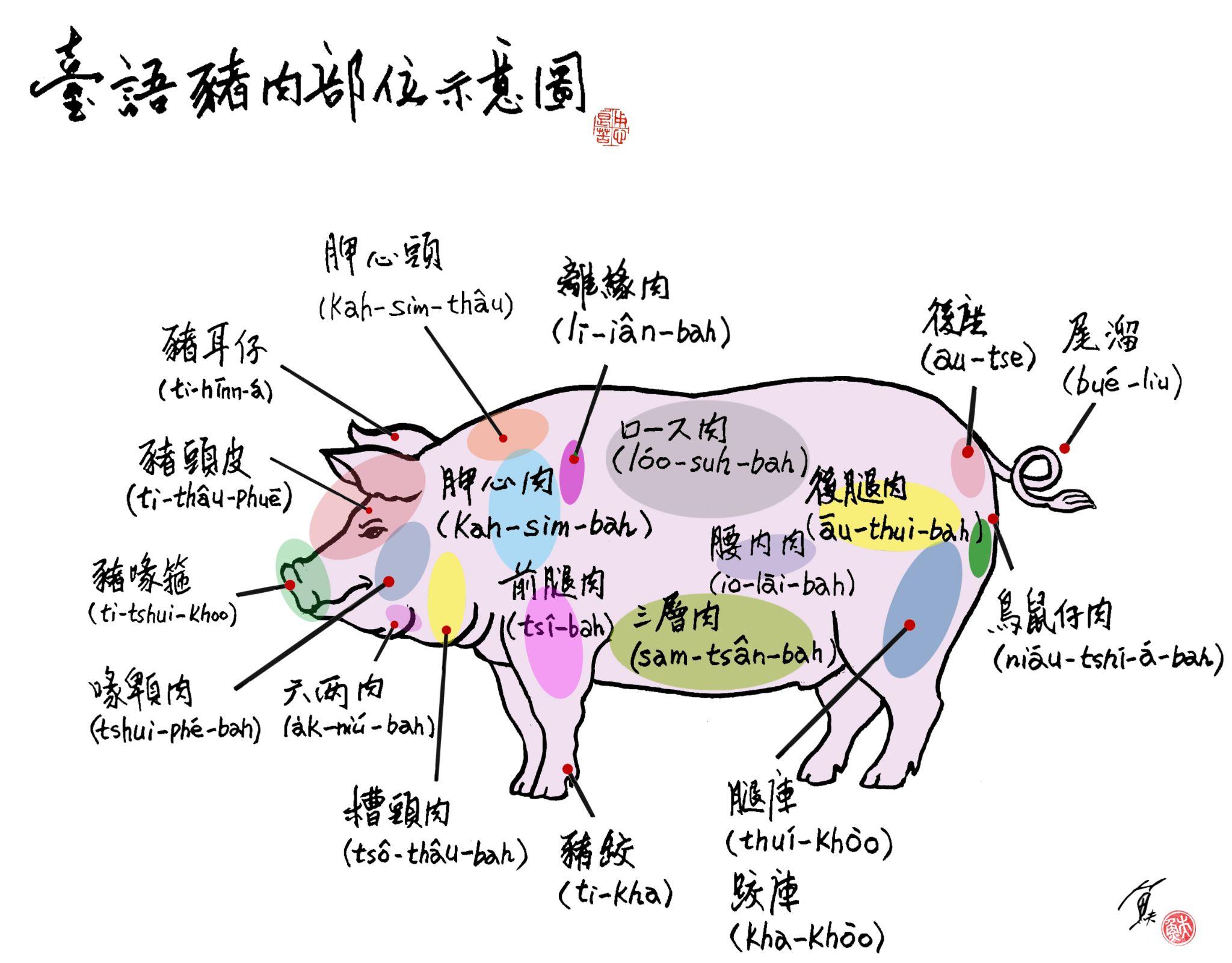 豬肉的各部位其實都有台語。本文試圖將豬隻的各部位台語稱呼整理出來！