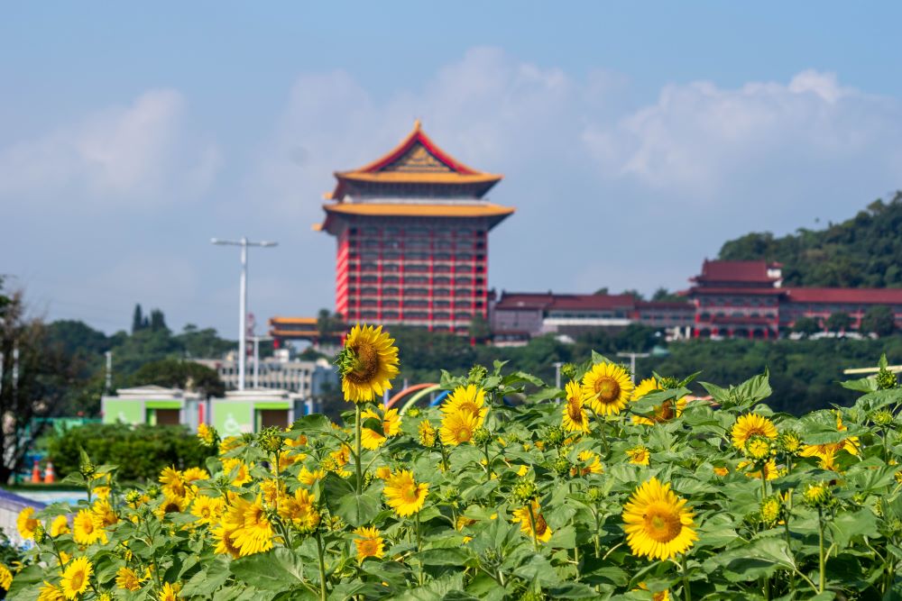 你也找到你生命中屬於自己的太陽花，和你的公民不服從了嗎？