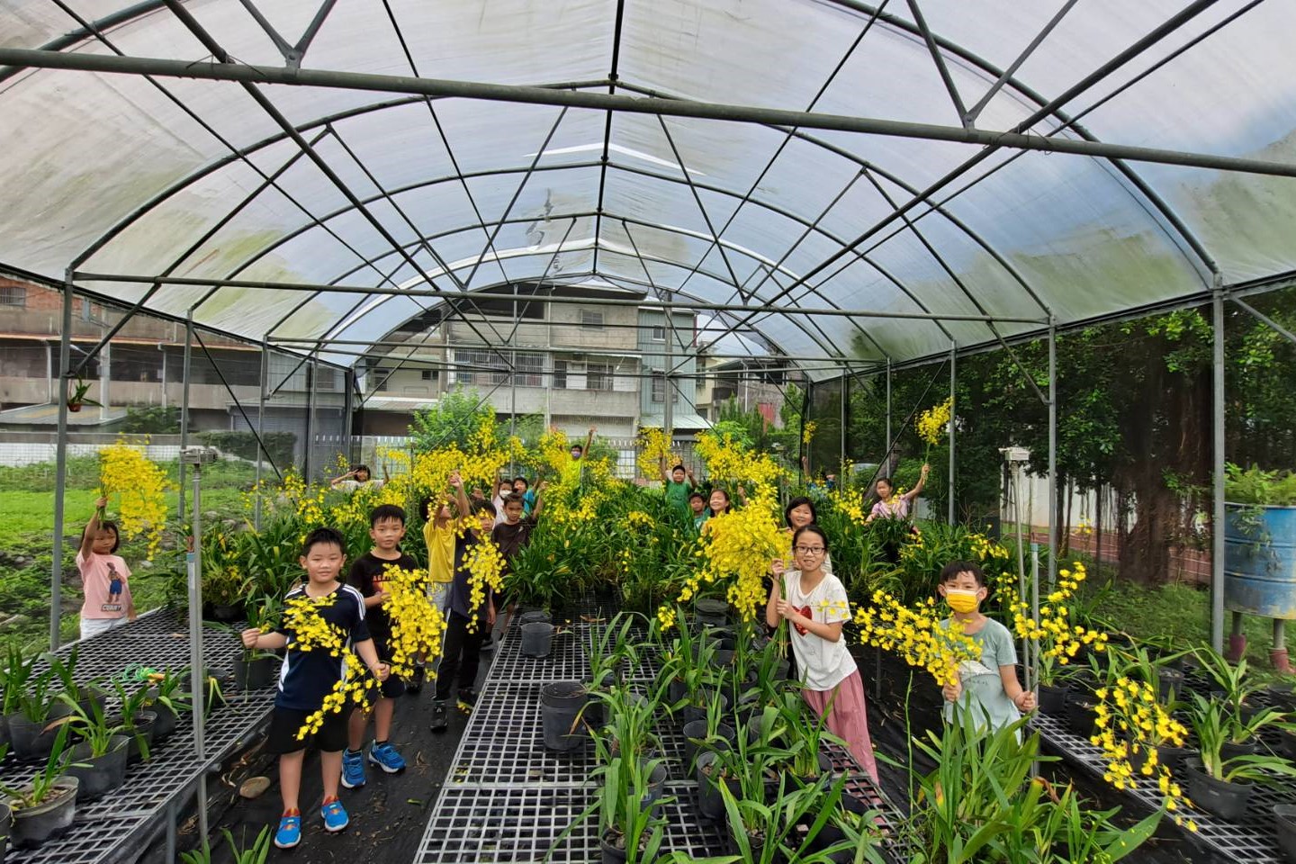 大坑國小校園內有座「蘭園」，小一新生報到的那天，學生就會與家長攜手種下屬於自己的文心蘭。從那天起，文心蘭的小小幼苗就就深植在學生的心中。圖為大坑國小學生與文心蘭合影。