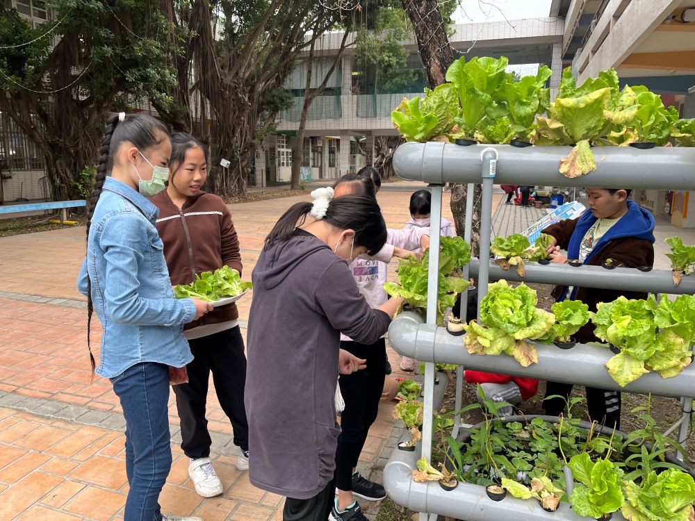 廉使國小的魚菜共生系統實現了資源的循環再利用。