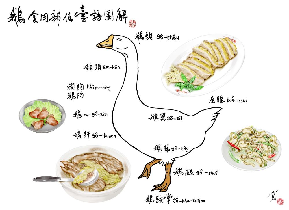 在台灣，鵝肉還算是常見小吃，鵝的台語發音你會嗎？