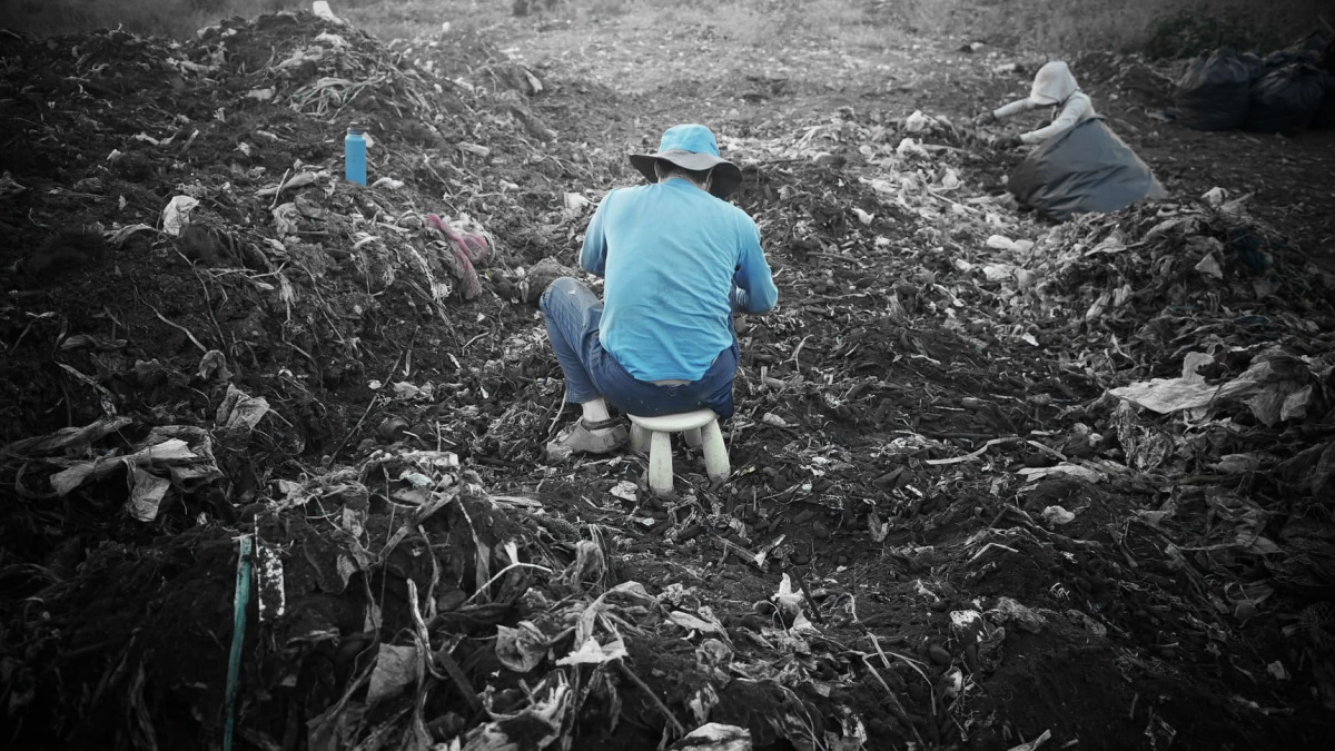 阿仁，放棄竹科高薪，投入農業運動，期望培育有成的好味土受人肯定選用，但5年只收入5萬。