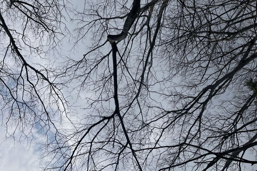 每一次抬頭，都是重新想像的開始。