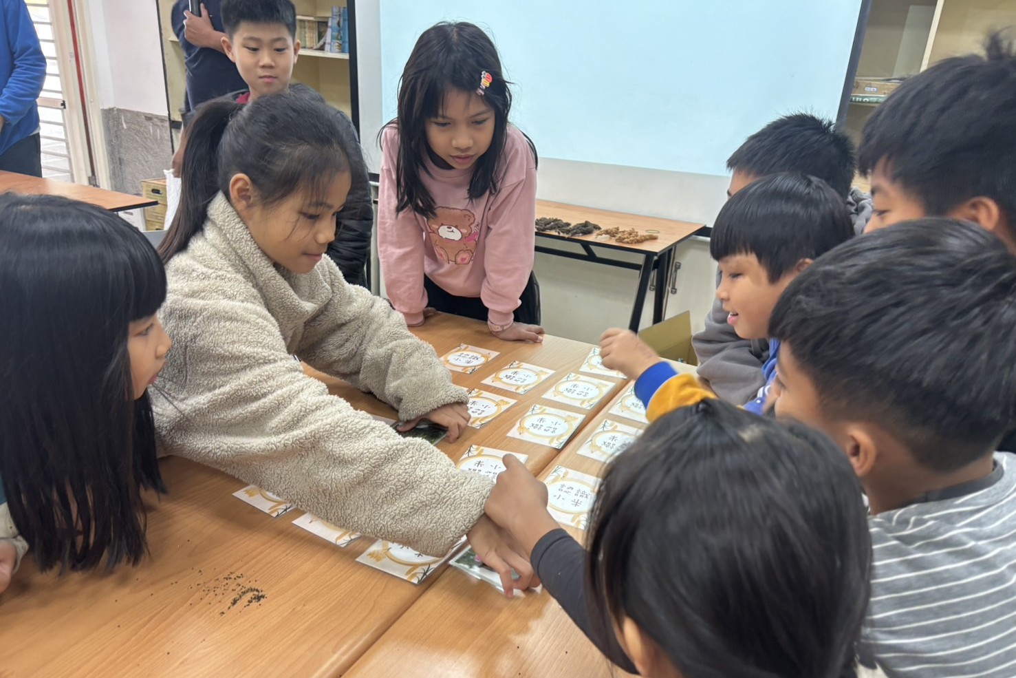 小朋友透過圖卡互動遊戲認識小米成長過程。