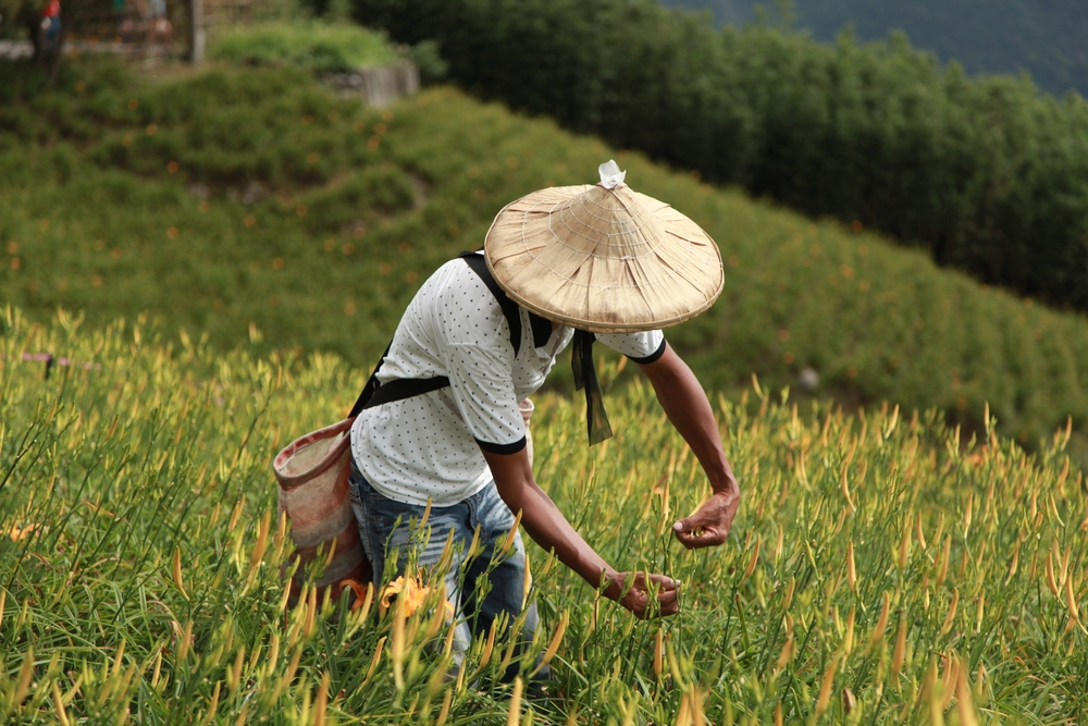 如果我們認定無證勞動是黑的、是有害的，那我們應該要同時承認，台灣社會的許多勞動成果，都是灰色的……
